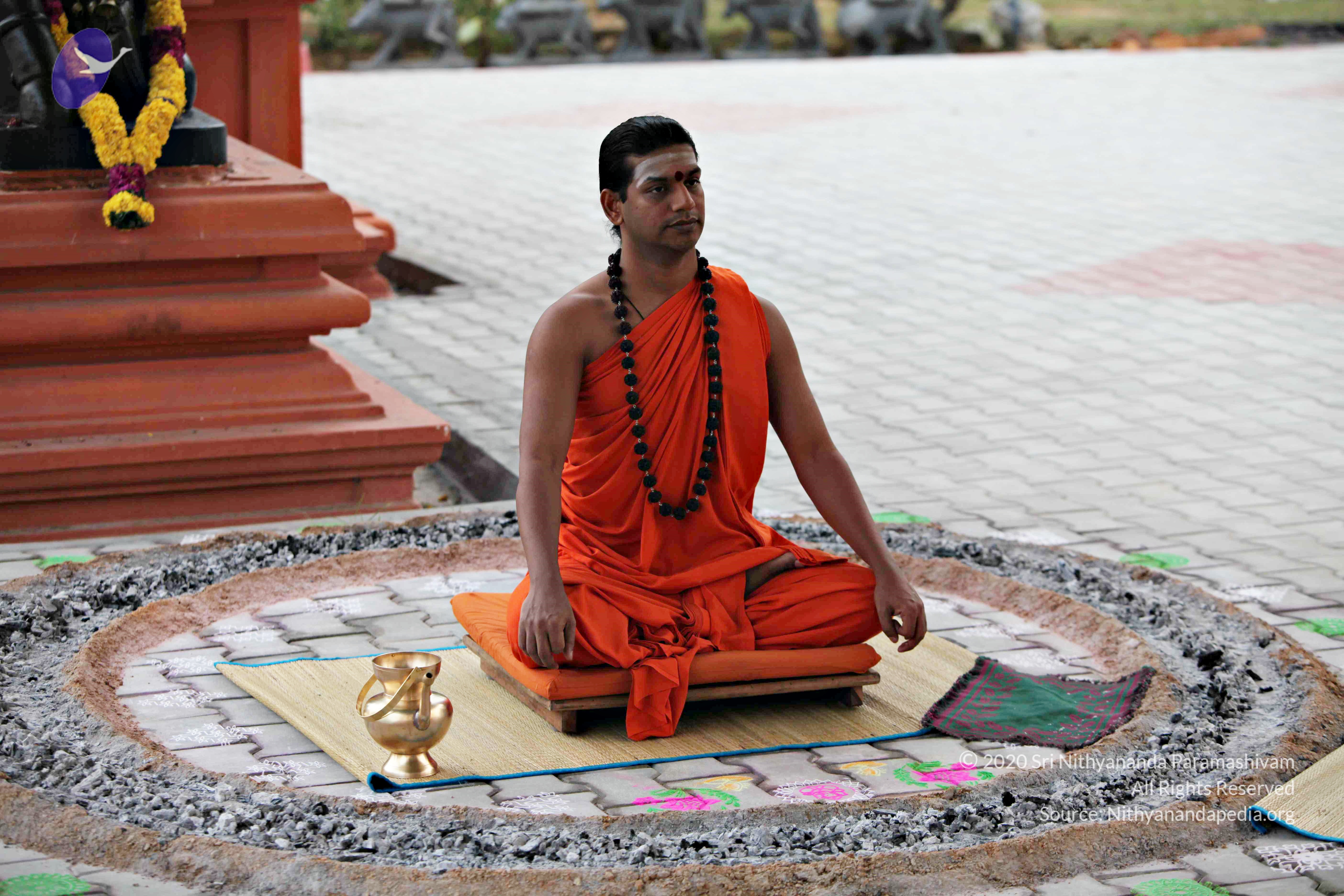 20110225_Photo_1027_IMG_0814_CMP_WM